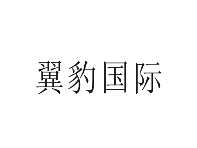 翼豹国际